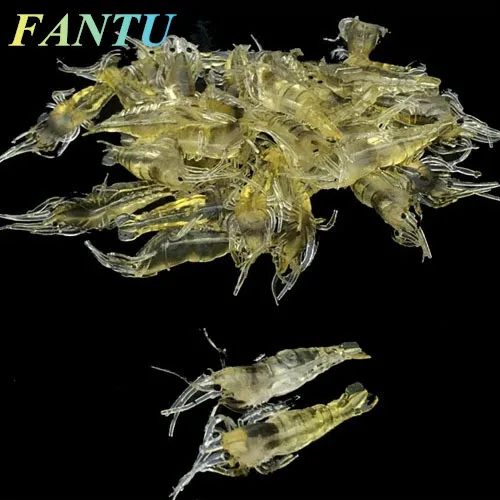 FANTU Fishing Soft Lures Grass Shrimp Lure 4cm Luminous Small Camarao Artificial Pescaria Acessorioss Shrimp Lure 20PCS
FANTU Fishing Soft Lures Grass Shrimp Lure 4cm Luminous Small Camarao Artificial Pescaria Acessorioss Shrimp Lure 20PCS