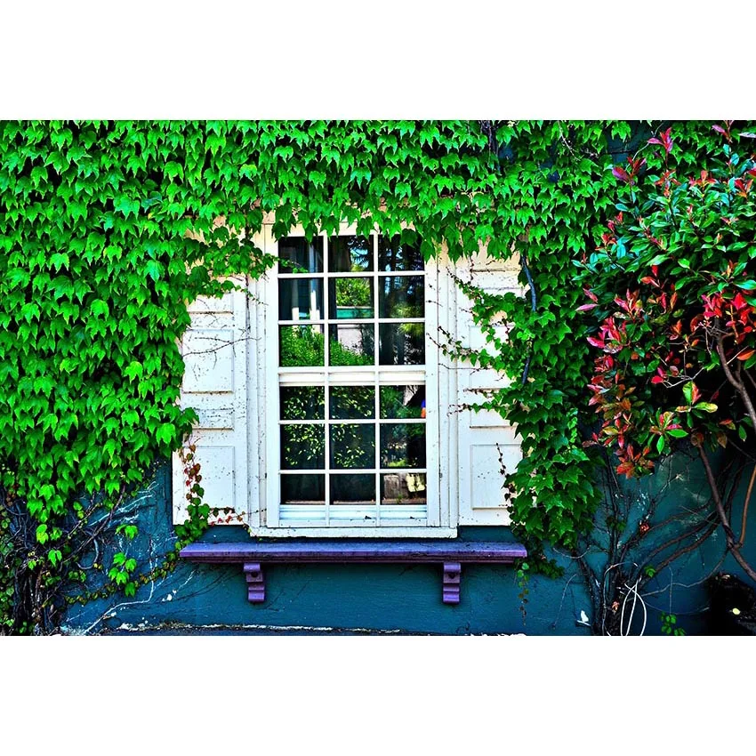 Vinyl green grass white window newborn Photography Backgrounds wedding children Photographic Backdrops For Photo Studio
Vinyl green grass white window newborn Photography Backgrounds wedding children Photographic Backdrops For Photo Studio