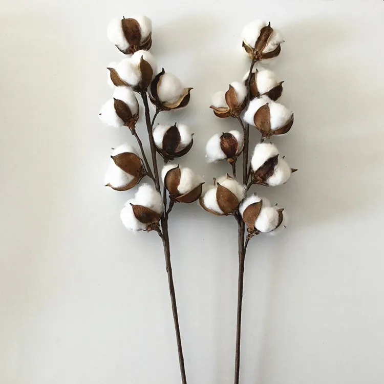 400pcs/lot 22 Inch 8 Head Artificial White Dried Flower Cotton Boll Stem for Farmhouse Home Decoration
400pcs/lot 22 Inch 8 Head Artificial White Dried Flower Cotton Boll Stem for Farmhouse Home Decoration