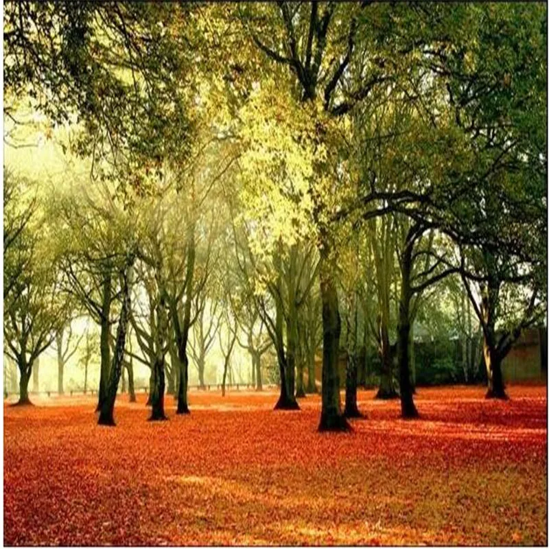 

beibehang 3d large wallpaper mural HD Deciduous forest sunlight scenic walking park chair backdrop custom silk photo wall paper