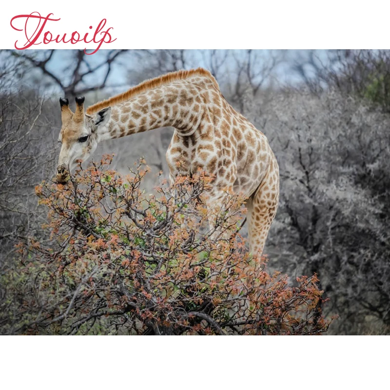 Алмазная 5d-картина «сделай сам», Хрустальный пластилин, круглая картина и круглый Жираф 5D, алмазная вышивка «сделай сам», алмазная декорати...
Алмазная 5d-картина «сделай сам», Хрустальный пластилин, круглая картина и круглый Жираф 5D, алмазная вышивка «сделай сам», алмазная декорати...