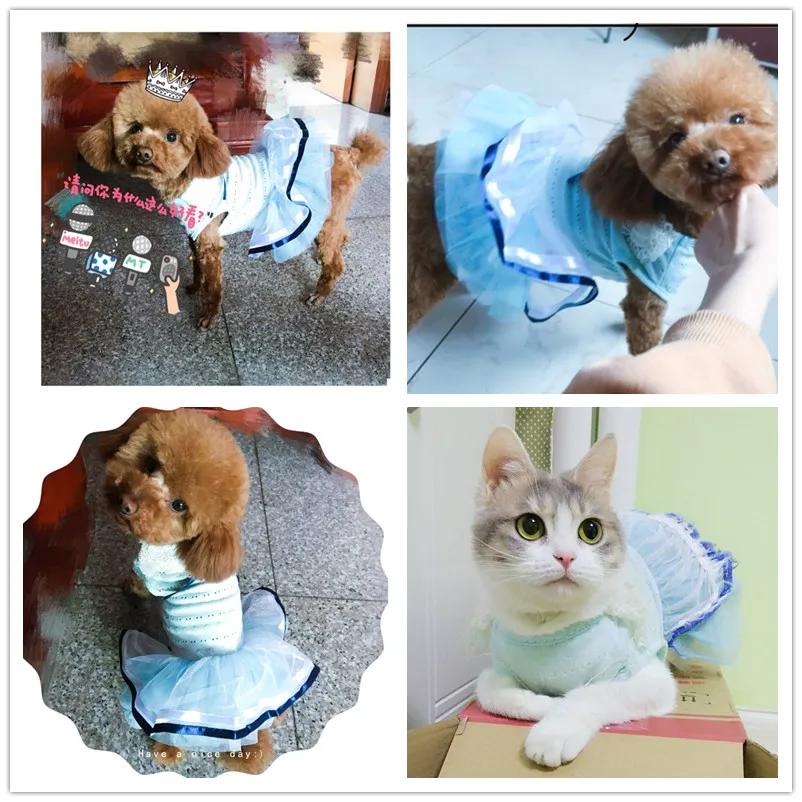 F32 dog cat summer cute dresses dog sweet dress pet princess dresses puppy Skirts
F32 dog cat summer cute dresses dog sweet dress pet princess dresses puppy Skirts