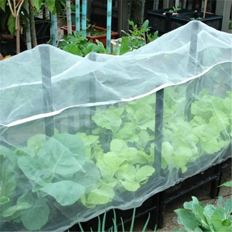 High Quality 1*2m Vegetable Netting Mesh Insect Mosquito Anti Bird Net Garden Crop Vegetable Protection Fine Mesh Cloth
High Quality 1*2m Vegetable Netting Mesh Insect Mosquito Anti Bird Net Garden Crop Vegetable Protection Fine Mesh Cloth