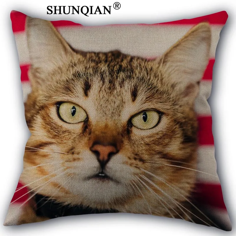 cat Pillowcase Custom Cotton Linen Square Decorative Pillow Cases Cover Zippered 45x45cm one side
cat Pillowcase Custom Cotton Linen Square Decorative Pillow Cases Cover Zippered 45x45cm one side