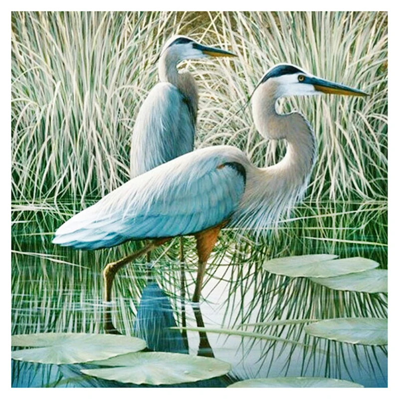 KAMY YI Full Square/Round Drill DIY Diamond Painting "Heron" Embroidery Cross Stitch Mosaic Rhinestones Home Decor CNN
KAMY YI Full Square/Round Drill DIY Diamond Painting "Heron" Embroidery Cross Stitch Mosaic Rhinestones Home Decor CNN