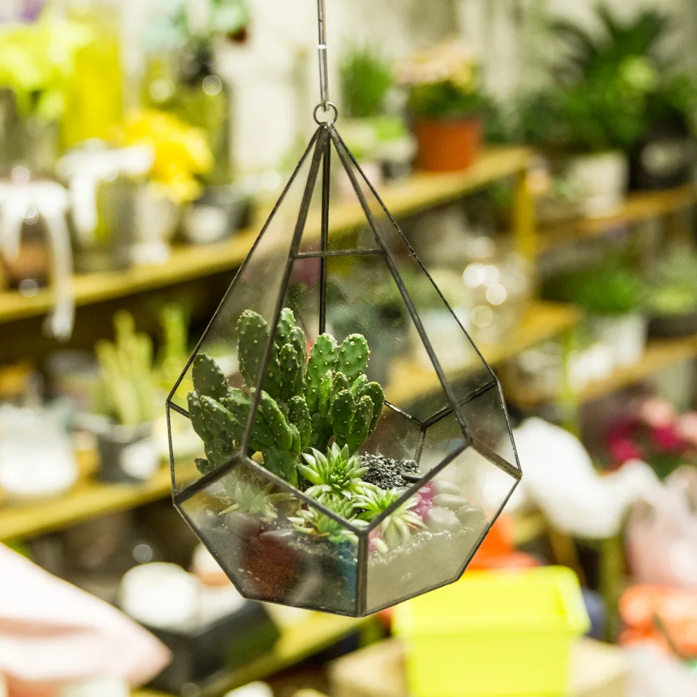 DIY Wall Mount Hanging Five-surfaces Diamond Artistic Clear Glass Geometric Terrarium Succulent Moss Plants Flower pot with Loop
DIY Wall Mount Hanging Five-surfaces Diamond Artistic Clear Glass Geometric Terrarium Succulent Moss Plants Flower pot with Loop