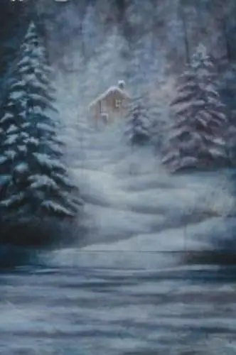 10x20 футов ручная роспись зимняя кабина сценический муслиновый фон для фотосъемки свадьбы, 100% хлопок снежные фоны для фотостудии 
10x20 футов ручная роспись зимняя кабина сценический муслиновый фон для фотосъемки свадьбы, 100% хлопок снежные фоны для фотостудии