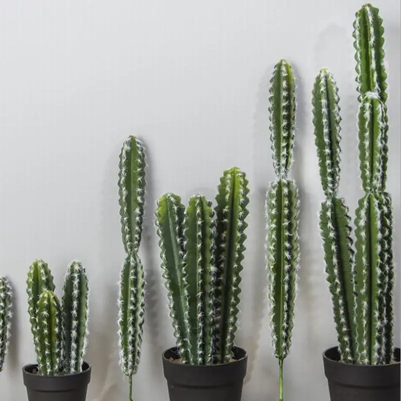 Party Nordic Home Indoor Hotel Desktop Decoration Artificial Cactus Decoration Pilosocereus Plants Fake Silk Plant Green
Party Nordic Home Indoor Hotel Desktop Decoration Artificial Cactus Decoration Pilosocereus Plants Fake Silk Plant Green