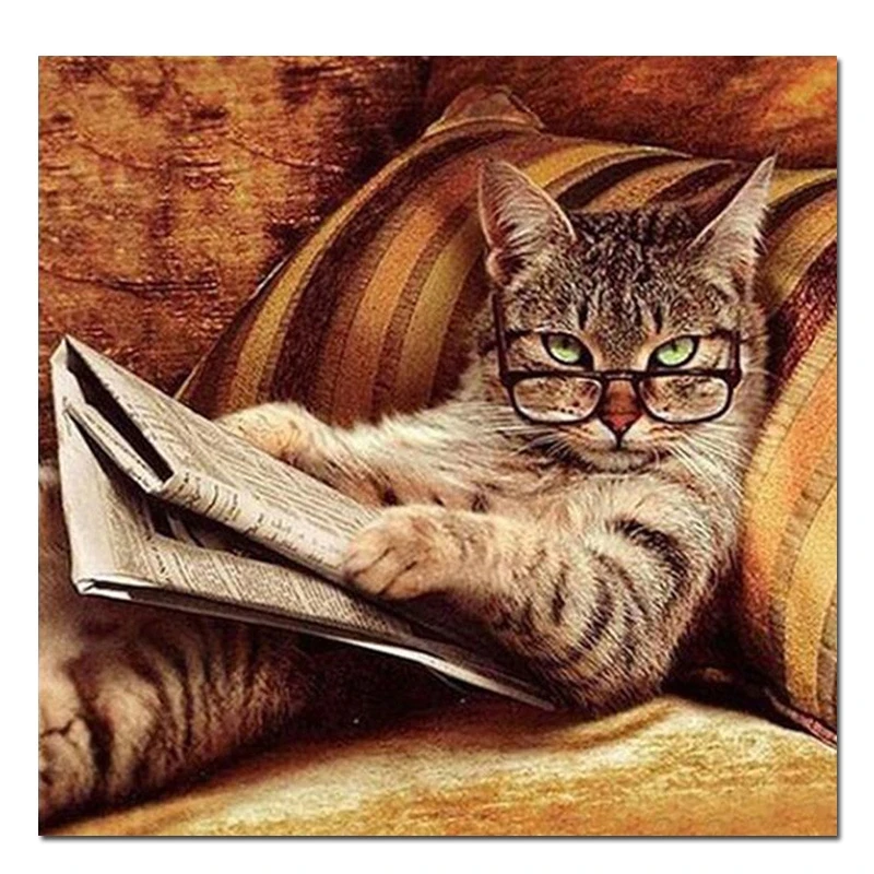 5d Diy diamond painting Cross Stitch"Cat reading newspaper"Diamond mosaic Full square Diamond Embroidery Europe home decor Z905
5d Diy diamond painting Cross Stitch"Cat reading newspaper"Diamond mosaic Full square Diamond Embroidery Europe home decor Z905