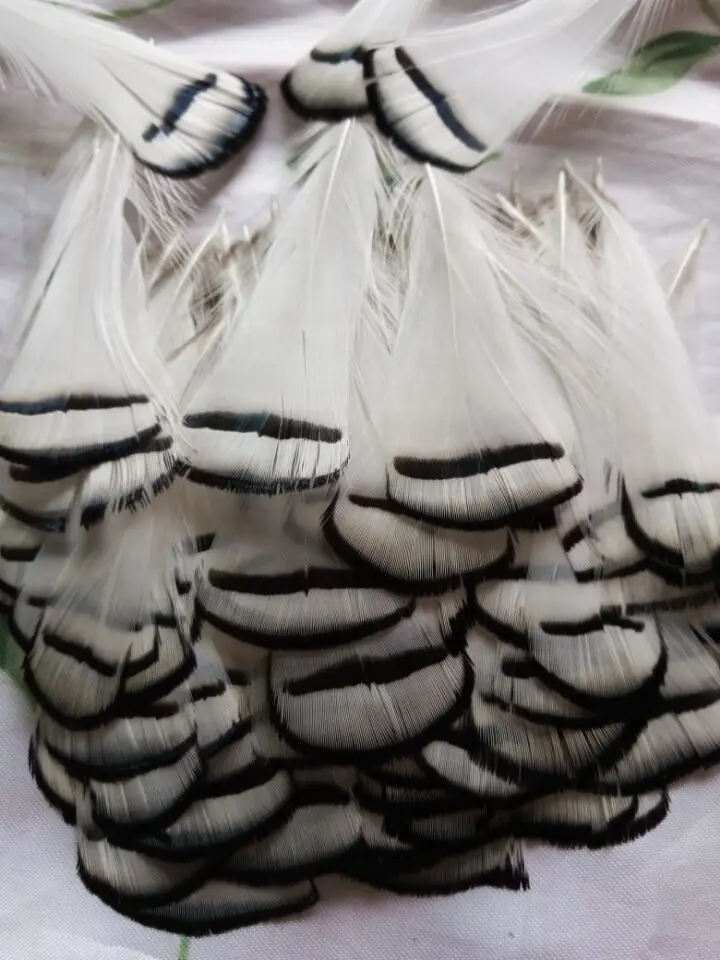Wholesale perfect 20pcs high quality natural Lady Amherst Pheasant Feathers 2-4inch/5-10cm Decorative diy
Wholesale perfect 20pcs high quality natural Lady Amherst Pheasant Feathers 2-4inch/5-10cm Decorative diy