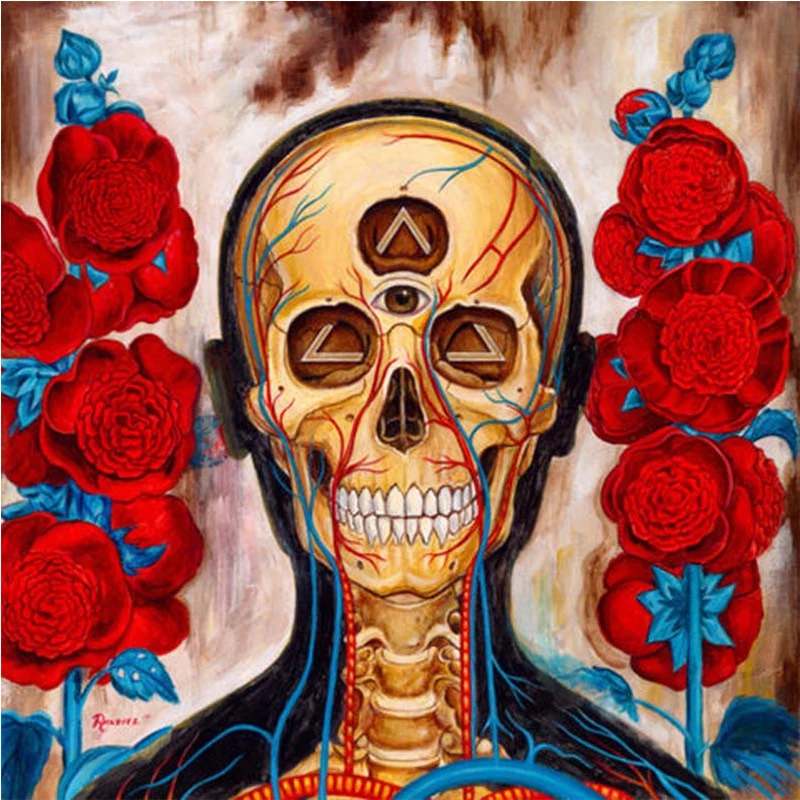 Квадратный 5d diy носке платформой с украшением из страз в виде черепа, цветок Хэллоуин Алмазная вышивка крестиком со стразами Алмазная мозаи... 
Квадратный 5d diy носке платформой с украшением из страз в виде черепа, цветок Хэллоуин Алмазная вышивка крестиком со стразами Алмазная мозаи...