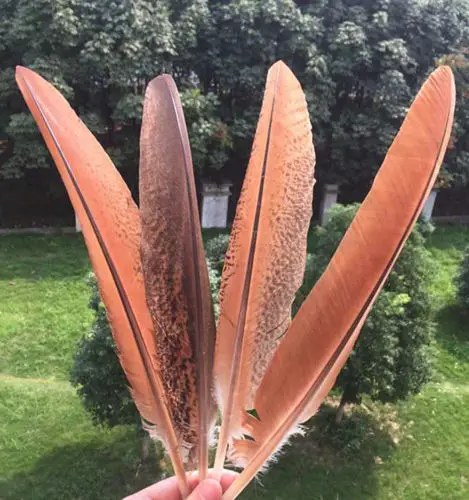 Новинка 20 шт. красивые перья павлина 14 16 дюймов 35 40 см|peacock feathers|feather peacockfeather feather |