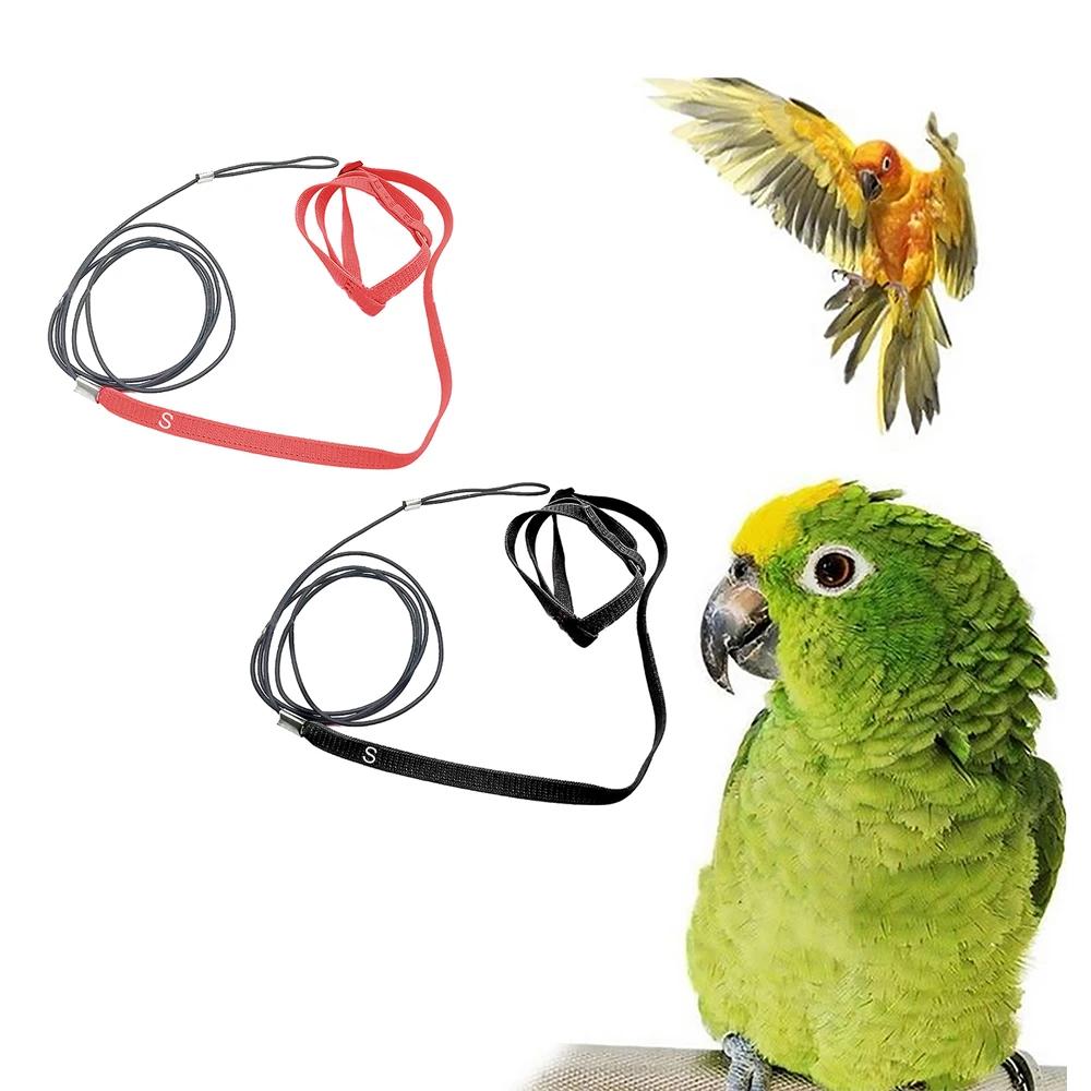 1PC Adjustable Anti-bite Birds Leash Harness Training Rope for Small Parakeets Indian Necks Cocktiels Conures Size Petite/XS/S
1PC Adjustable Anti-bite Birds Leash Harness Training Rope for Small Parakeets Indian Necks Cocktiels Conures Size Petite/XS/S