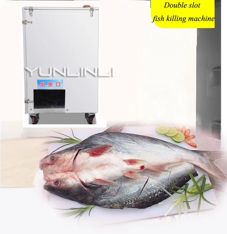 1500W 220V Automatic Double Slot Fish Killing Machine Scraping Scale And Gutting Fish Fish Processing Device
1500W 220V Automatic Double Slot Fish Killing Machine Scraping Scale And Gutting Fish Fish Processing Device