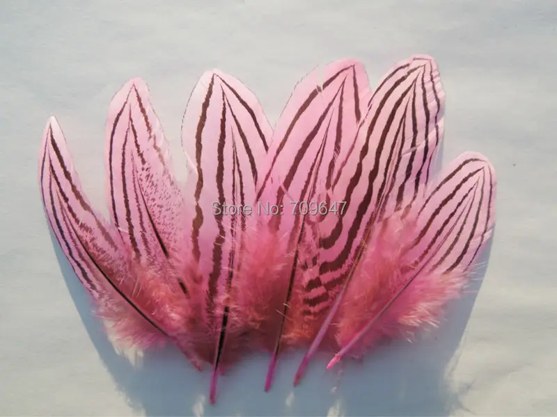 100Pcs/lot!7-10cm Long Pink Colour Silver Pheasant Feathers for Craft/Millinery/Jewellery/Lmited Edition,Fly Tying Materials
100Pcs/lot!7-10cm Long Pink Colour Silver Pheasant Feathers for Craft/Millinery/Jewellery/Lmited Edition,Fly Tying Materials