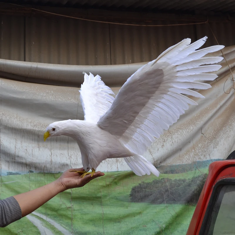 large 45x80cm spreading wings feathers eagle bird model artificial bird handicraft,prop,home garden decoration gift p2710
large 45x80cm spreading wings feathers eagle bird model artificial bird handicraft,prop,home garden decoration gift p2710