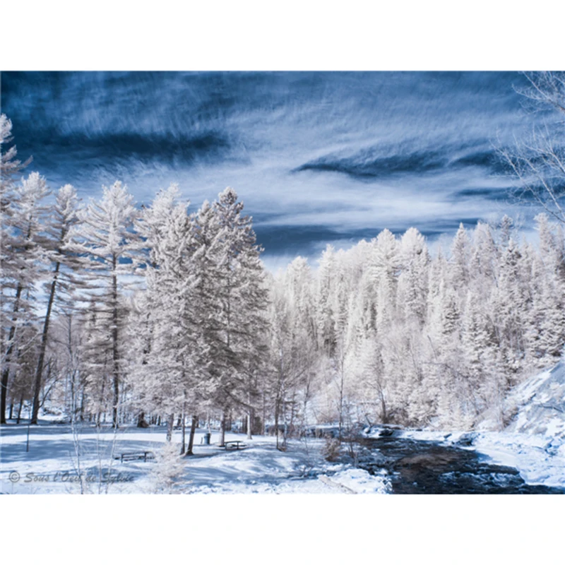 Diy Diamond painting landscape diamond cross stitch crystal square diamond sets unfinished Diamond embroidery Snow tree
Diy Diamond painting landscape diamond cross stitch crystal square diamond sets unfinished Diamond embroidery Snow tree