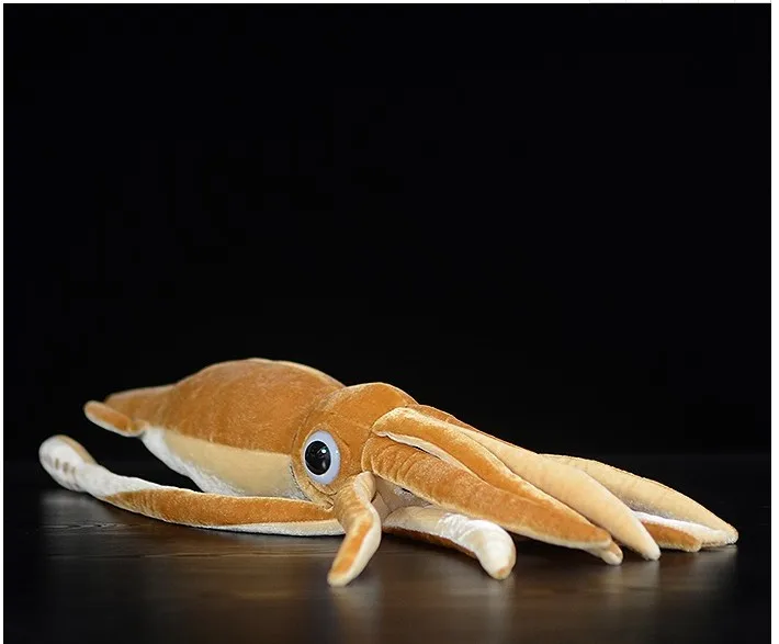 Super soft king squid doll simulation king squid doll simulation marine animal stuffed toy 36 CM
Super soft king squid doll simulation king squid doll simulation marine animal stuffed toy 36 CM