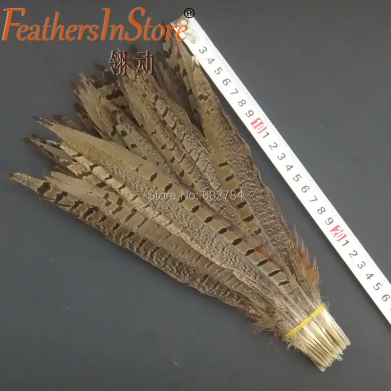 dyed Pheasant tail Feather 10-12" 25-30cm ringneck plume Fly Tying craft feathers for wedding decoration
dyed Pheasant tail Feather 10-12" 25-30cm ringneck plume Fly Tying craft feathers for wedding decoration