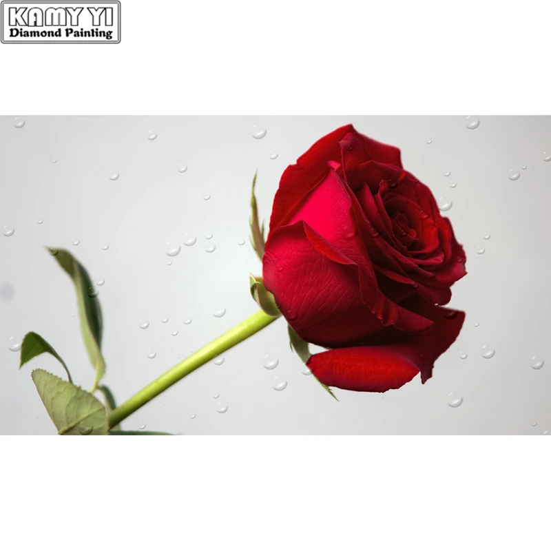 5D DIY Red Rose Flower Diamond Painting Square Round Rhinestone Hobby Crafts Mosaic Handmade Gifts Cross Stitch Home Decoration
5D DIY Red Rose Flower Diamond Painting Square Round Rhinestone Hobby Crafts Mosaic Handmade Gifts Cross Stitch Home Decoration