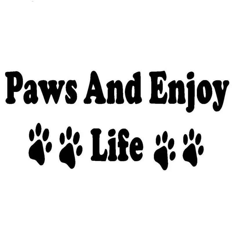 15.5CM*6.9CM Paws And Enjoy Life Dog Car Stylings Funny Pet Lover Care Puppy Car Sticker Black/Sliver C8-0238
15.5CM*6.9CM Paws And Enjoy Life Dog Car Stylings Funny Pet Lover Care Puppy Car Sticker Black/Sliver C8-0238