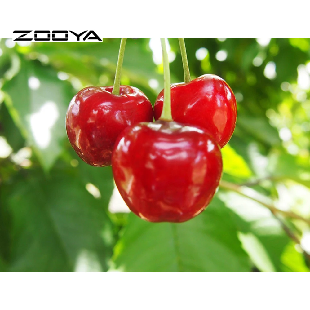 Needlework Diamond Embroidery Fruits Cherry Diy Diamond Painting Cross Stitch Pictures Of Rhinestones Full Drill Diamond F664
Needlework Diamond Embroidery Fruits Cherry Diy Diamond Painting Cross Stitch Pictures Of Rhinestones Full Drill Diamond F664