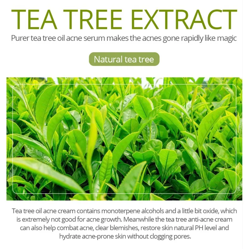 Pure Natural Tea Tree Anti-Acne Serum Pimple Comedo Treatment Anti-Wrinkle Moisturizing Essence Easy To Absorb
Pure Natural Tea Tree Anti-Acne Serum Pimple Comedo Treatment Anti-Wrinkle Moisturizing Essence Easy To Absorb