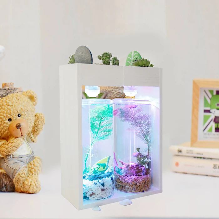 Creative Desktop Fish Tank Home Desk Ecological Microscopic Fleshy Thai Aquarium Plastic
Creative Desktop Fish Tank Home Desk Ecological Microscopic Fleshy Thai Aquarium Plastic