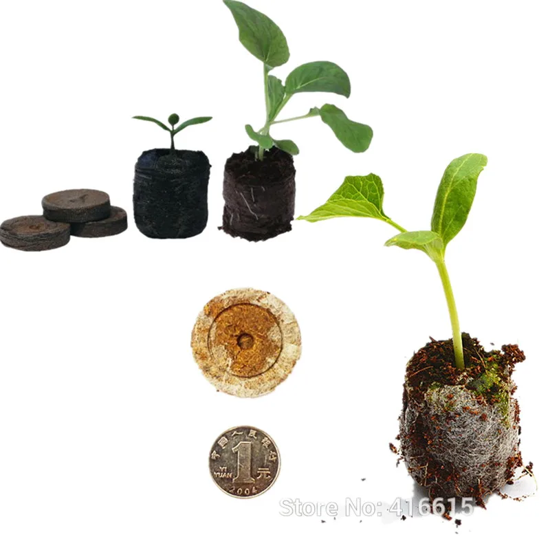 20 Count 25mm Nursery Block Peat Pellets for Garden Flowers Planting Green Thumb Seedling Soil Block for Seedling Cultivation
20 Count 25mm Nursery Block Peat Pellets for Garden Flowers Planting Green Thumb Seedling Soil Block for Seedling Cultivation