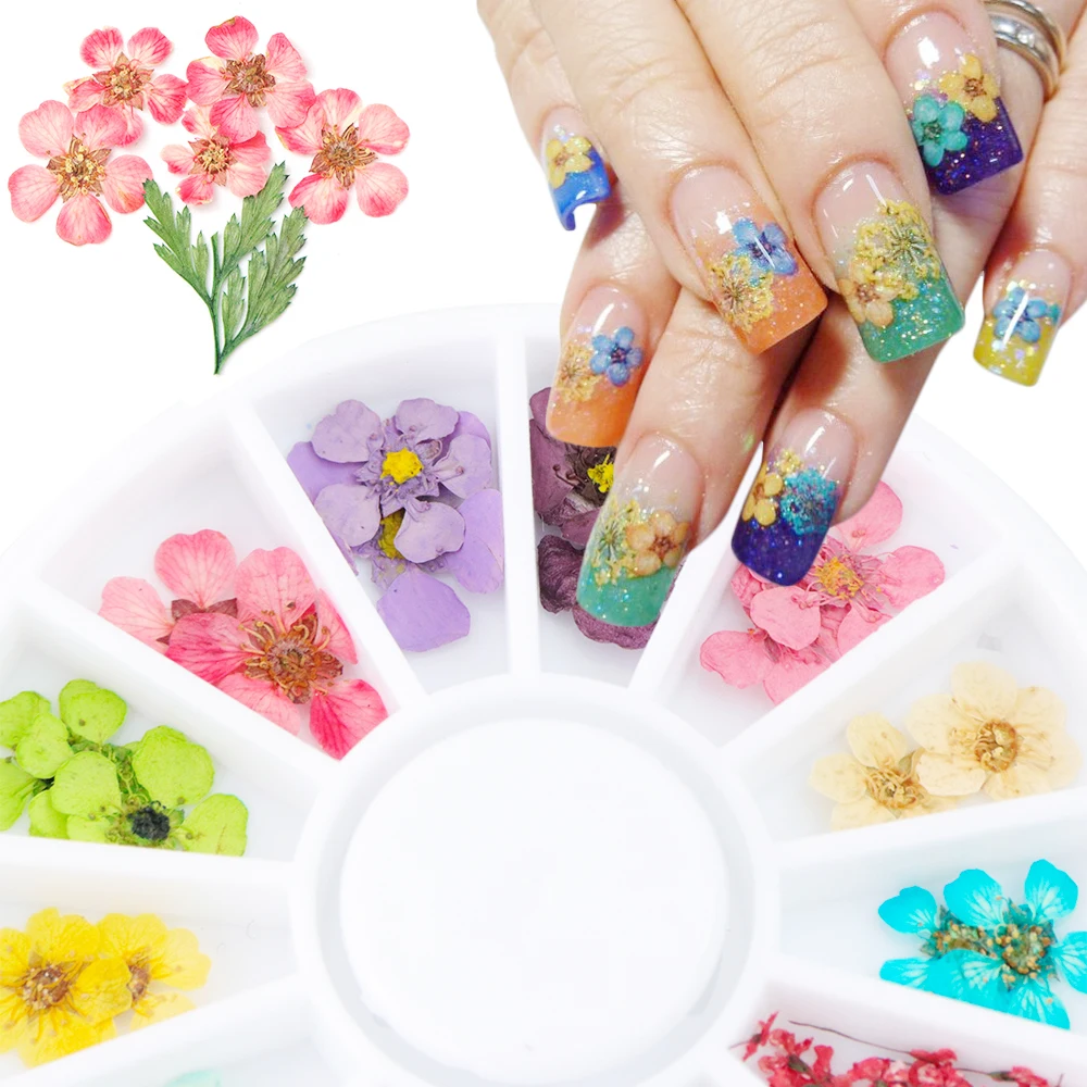 24 шт./катушка декоративные материалы для дизайна ногтей сушеный цветок 3D лак