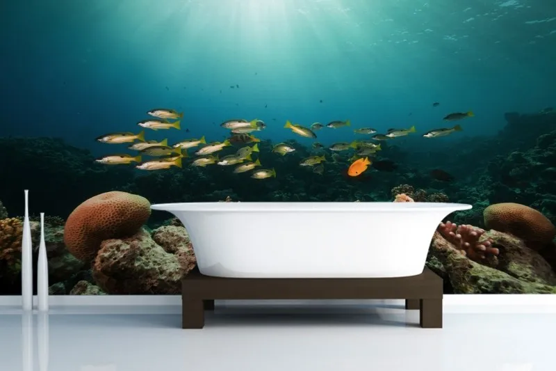 Mural Snappers on a Reef Wall Mural 3D 3D wallpaper natural livinag room mural 3D wallpaper tv sofa background 
Mural Snappers on a Reef Wall Mural 3D 3D wallpaper natural livinag room mural 3D wallpaper tv sofa background
