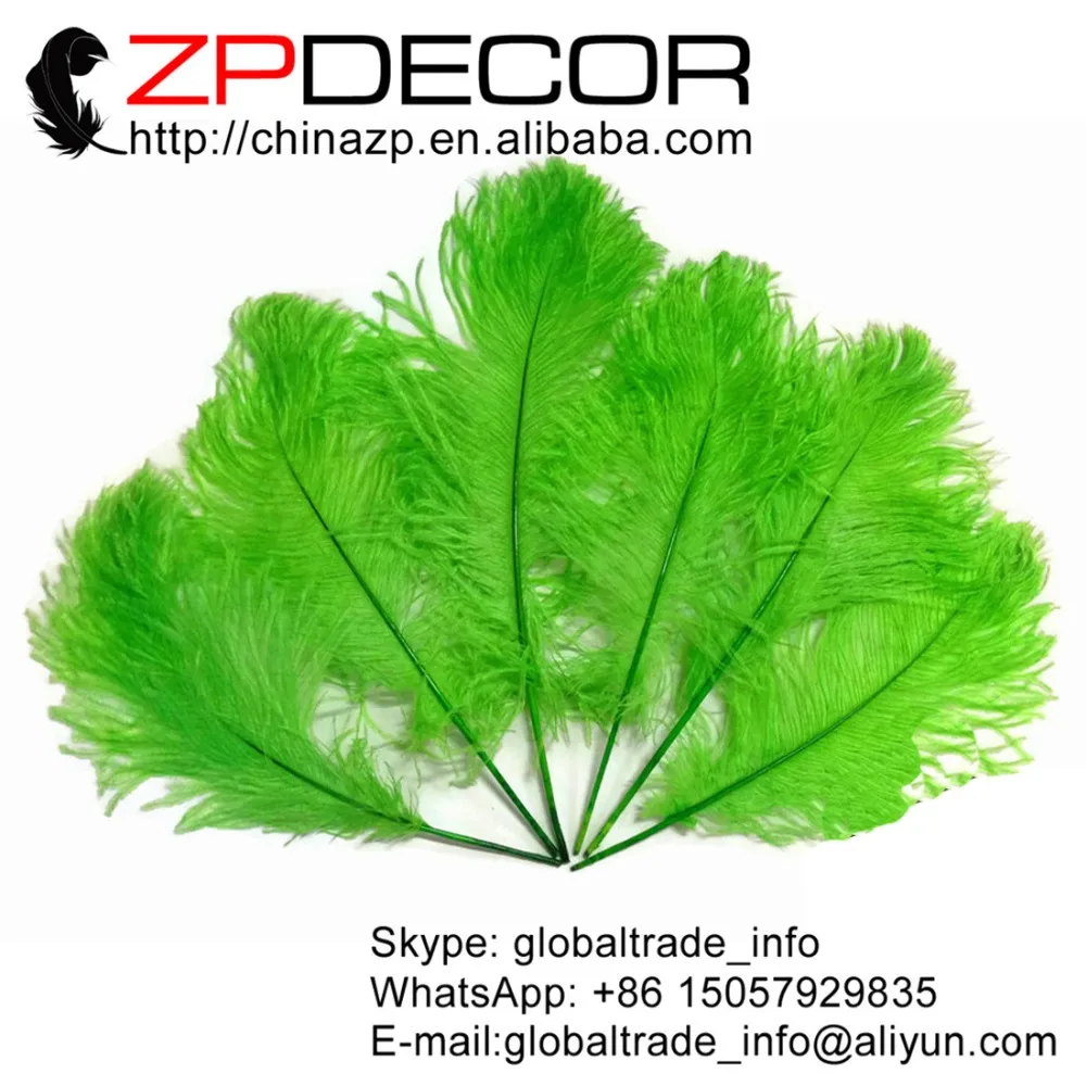 ZPDECOR 100 шт./лот 50-55 см (20-22 дюйма) ручной выбор страусиных перьев зеленый окрашенный страусиный хвост оптом перья (оптом)
ZPDECOR 100 шт./лот 50-55 см (20-22 дюйма) ручной выбор страусиных перьев зеленый окрашенный страусиный хвост оптом перья (оптом)