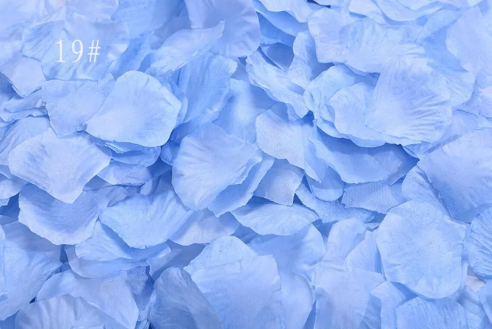 5,000pcs 4.5*4.5cm Sky Blue Rose Flower Leaves Petals For Wedding Party Holiday Venue Decoration Color-19 
5,000pcs 4.5*4.5cm Sky Blue Rose Flower Leaves Petals For Wedding Party Holiday Venue Decoration Color-19