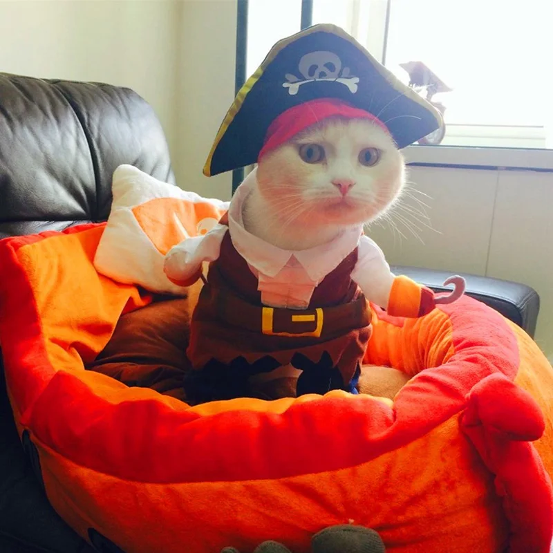 Забавный костюм кошки пиратский одежда котенка корсаира на Хэллоуин щенка