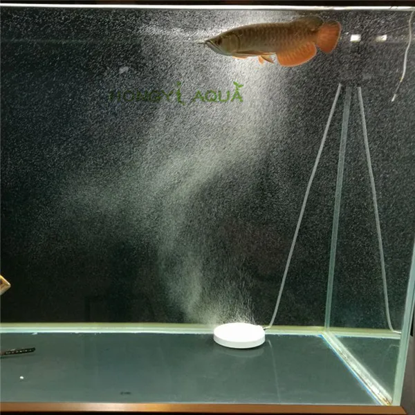 1 piece fish tank aquarium oxygen pump dedicated air plate nano white corundum bubble stone air diffuser oxygen plate 108mm
1 piece fish tank aquarium oxygen pump dedicated air plate nano white corundum bubble stone air diffuser oxygen plate 108mm