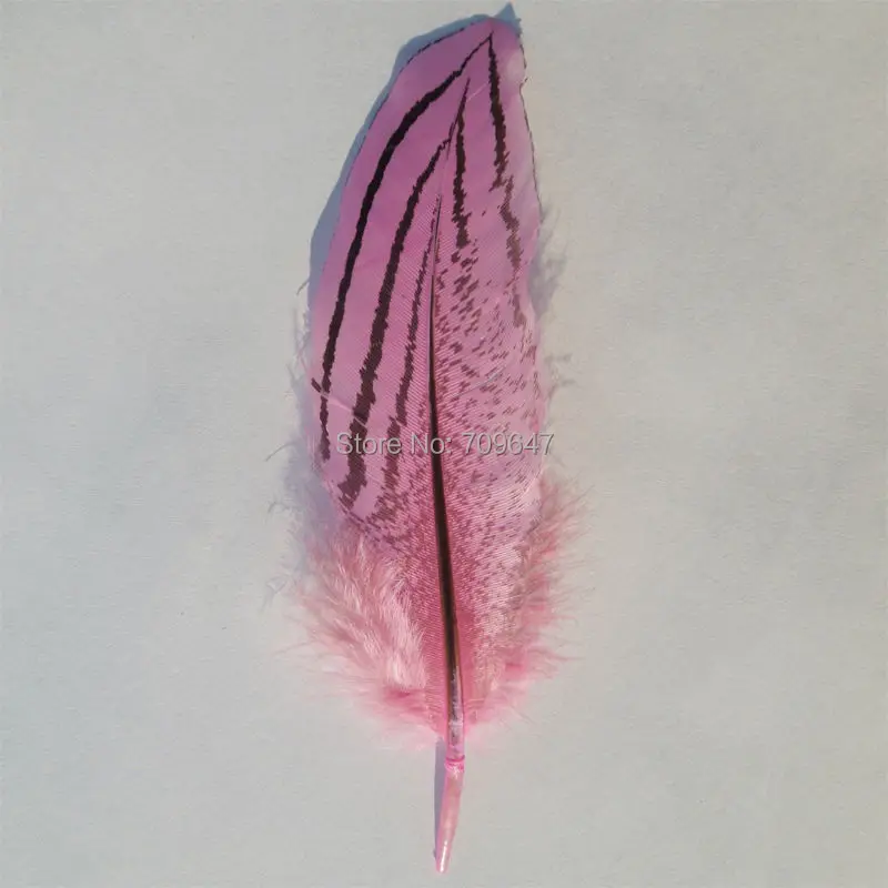 100Pcs/lot!7-10cm Long Pink Colour Silver Pheasant Feathers for Craft/Millinery/Jewellery/Lmited Edition,Fly Tying Materials
100Pcs/lot!7-10cm Long Pink Colour Silver Pheasant Feathers for Craft/Millinery/Jewellery/Lmited Edition,Fly Tying Materials