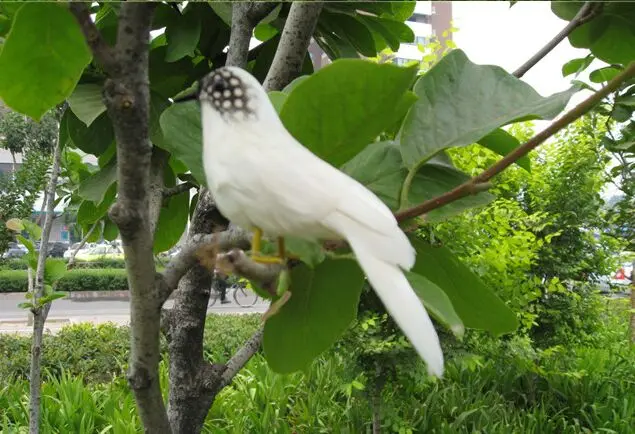 cute simulation white bird model foam&feather mini bird doll gift about 16cm 1368
cute simulation white bird model foam&feather mini bird doll gift about 16cm 1368
