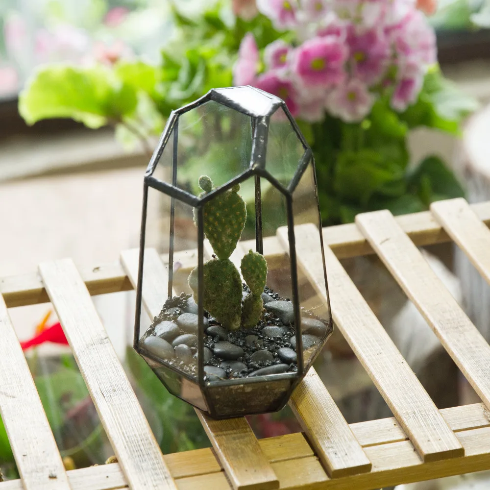15cm Home Small Garden Irregular Succulent Plants Planter Glass Flower Pot Desktop Decoration Vase Glass Geometric Terrarium DIY
15cm Home Small Garden Irregular Succulent Plants Planter Glass Flower Pot Desktop Decoration Vase Glass Geometric Terrarium DIY