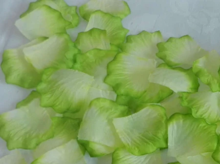 2000pcs/lot Lime Green With Ivory Silk Rose Petals For Wedding Party DIY Decorations Fashion Artificial Flower Silk Petals
2000pcs/lot Lime Green With Ivory Silk Rose Petals For Wedding Party DIY Decorations Fashion Artificial Flower Silk Petals