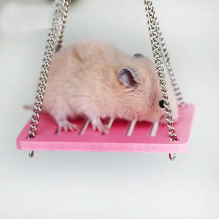 Multiple colour Hamster swing color wooden swing toy supplies small pet supplies toys Stable and safe
Multiple colour Hamster swing color wooden swing toy supplies small pet supplies toys Stable and safe