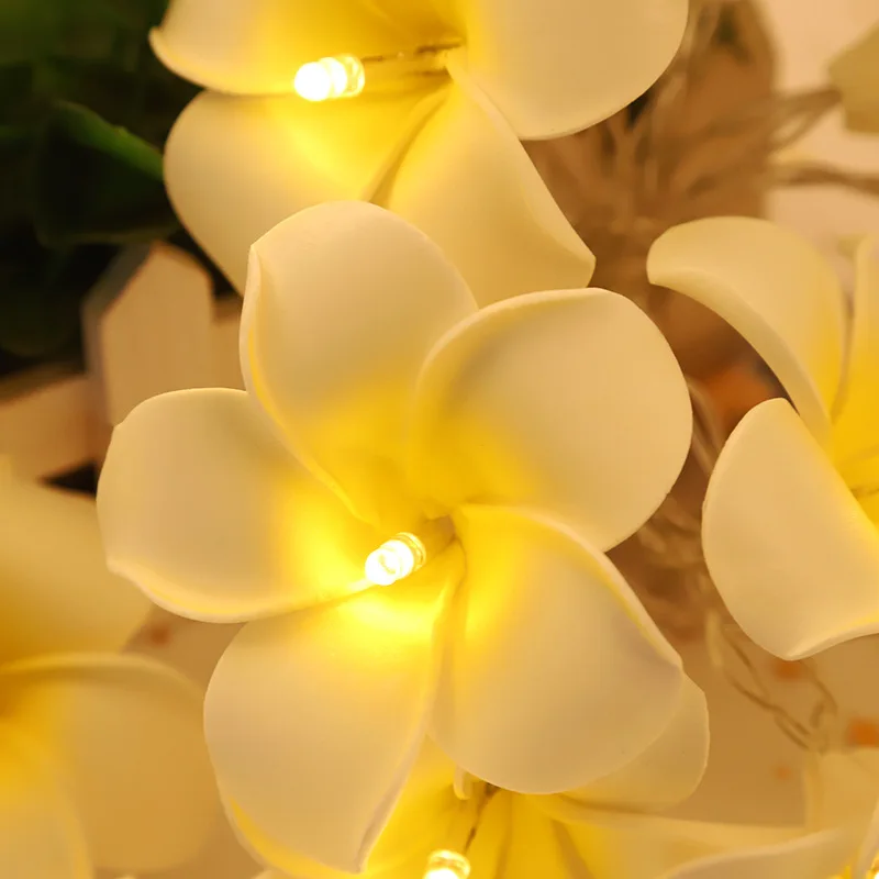 10M 100 Frangipani Fairy Lights LED Garland Christmas Decoration String Lights Wedding Lighting For Holiday Party Home Bedroom
10M 100 Frangipani Fairy Lights LED Garland Christmas Decoration String Lights Wedding Lighting For Holiday Party Home Bedroom