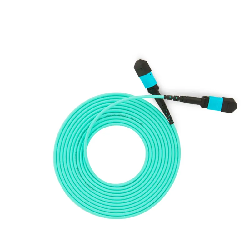 MPO-MPO 12 Core Fiber Optic Patch Cord Cable 10GB 50/125 OM3 Multimode Fiber Optic Cable, 3M
MPO-MPO 12 Core Fiber Optic Patch Cord Cable 10GB 50/125 OM3 Multimode Fiber Optic Cable, 3M