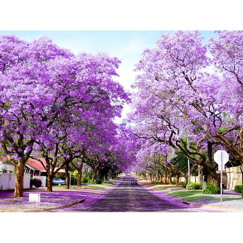 Алмазная живопись полная дрель квадратная/круглая фиолетовая пейзажная Мозаика DIY алмазная живопись вышивка крестиком домашний декор
Алмазная живопись полная дрель квадратная/круглая фиолетовая пейзажная Мозаика DIY алмазная живопись вышивка крестиком домашний декор