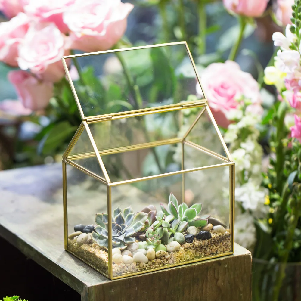 Copper House Shape Terrarium Moss Fern Glass Box Flower Pot Wardian Case Victorian Vintage Planter Succulent Geometric Terrarium
Copper House Shape Terrarium Moss Fern Glass Box Flower Pot Wardian Case Victorian Vintage Planter Succulent Geometric Terrarium
