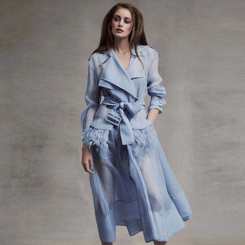 Elegant Sky Blue Maxi Loose Casual Dress High Quality Mesh Long Sleeve Sashes Turn-down Collar See Through Summer Dress Vestidos
Elegant Sky Blue Maxi Loose Casual Dress High Quality Mesh Long Sleeve Sashes Turn-down Collar See Through Summer Dress Vestidos