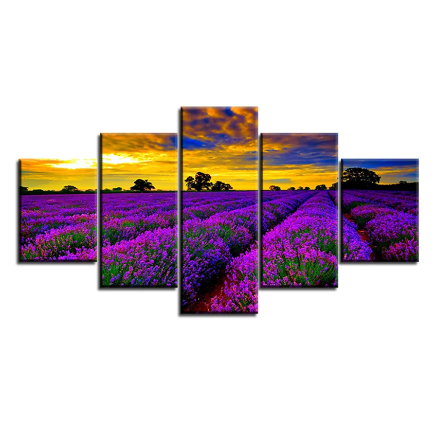 5 pc Set field-of-lavender-flowers-widescreen NO FRAME Oil Painting Canvas Prints Wall Art Pictures For Living Room Decorations
5 pc Set field-of-lavender-flowers-widescreen NO FRAME Oil Painting Canvas Prints Wall Art Pictures For Living Room Decorations