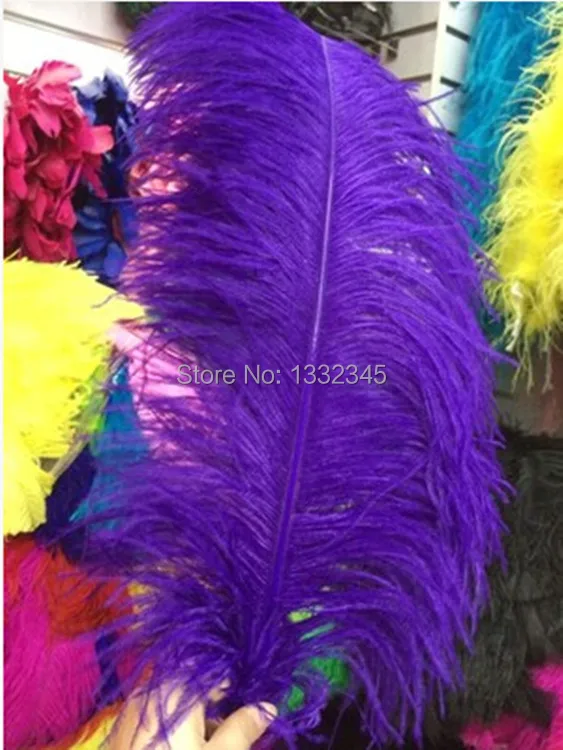 100 PCS / 55 to 60 cm 22-24 "dark purple feather ostrich feather feather wedding decoration
100 PCS / 55 to 60 cm 22-24 "dark purple feather ostrich feather feather wedding decoration