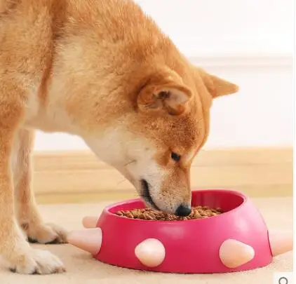 Cat bowl oblique dog bowl dog anti-slip rice bowl can protect the cervical spine basin water bowl water bowl pet supplies
Cat bowl oblique dog bowl dog anti-slip rice bowl can protect the cervical spine basin water bowl water bowl pet supplies