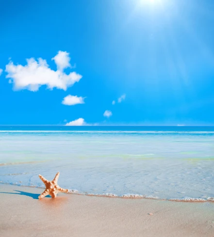Sunshine sea beach виниловые тканевые фоны для фотосъемки с голубым небом и морской