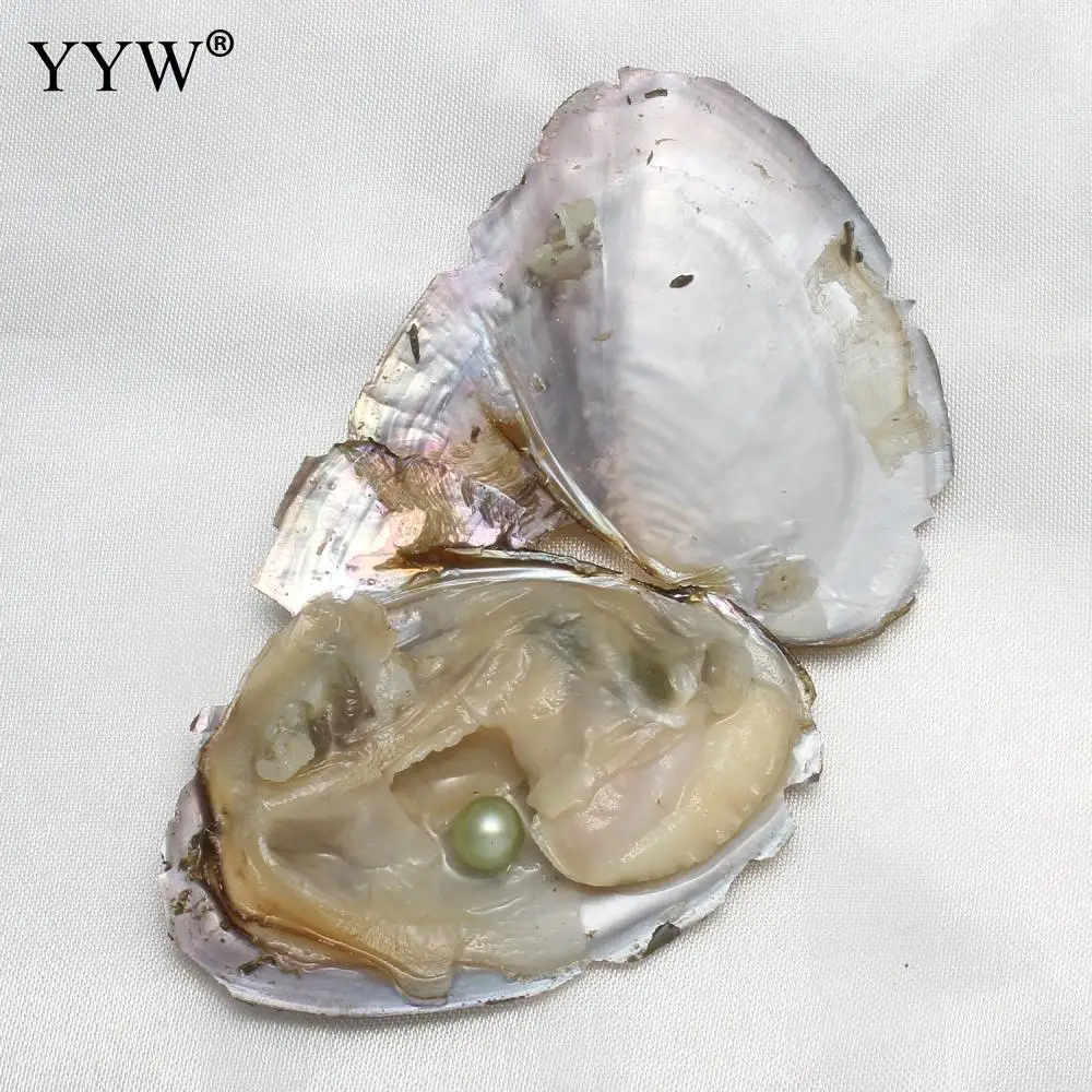 YYW Mixed Colors 10PCs/Lot Vacuum-packed One Mussel Shell Mother Oyster with One Pearl Beads Freshwater Love Wish Pearls Oysters
YYW Mixed Colors 10PCs/Lot Vacuum-packed One Mussel Shell Mother Oyster with One Pearl Beads Freshwater Love Wish Pearls Oysters